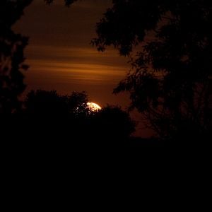 Sunrise_X8076994_08-07-2018-001