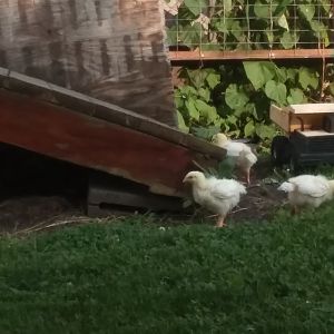 20180811_173425
