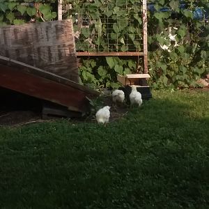 20180811_173336