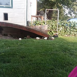 20180811_173313