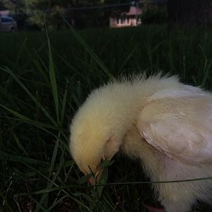 20180806_175419