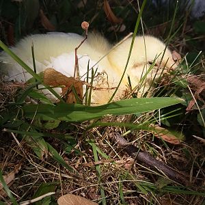 20180802_135012