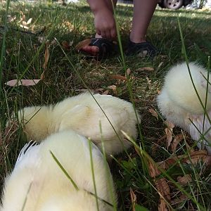 20180802_134143