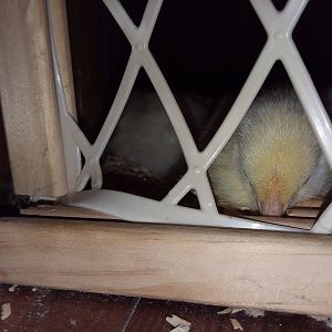 20180731_185916