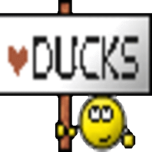Ducks