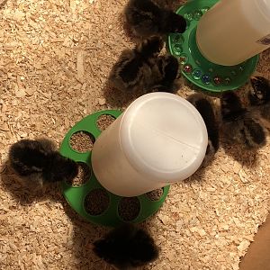 62FAA233-6678-450B-B8B9-1A5E21221EC8