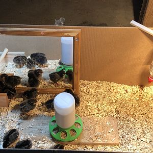 F0315BEF-EB1C-40AD-8BA5-7FD4373C0EFE