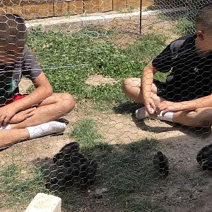 7C9BE9E3-1BA8-44F8-A06F-98A924C03F07