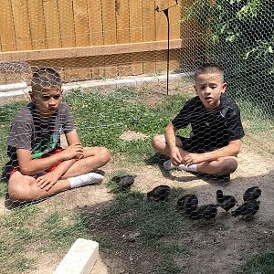 6FB6ED63-C3CA-43F0-97F8-3B9977F87742