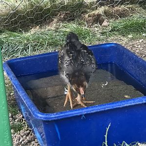 B39DADBA-015B-42E4-9982-9FCD272EC187