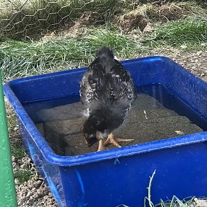 13F90737-3BC7-49C3-9848-4C129C69D102