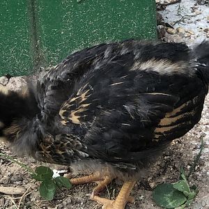 0A12356D-ECBF-4515-82C9-F06185747E09