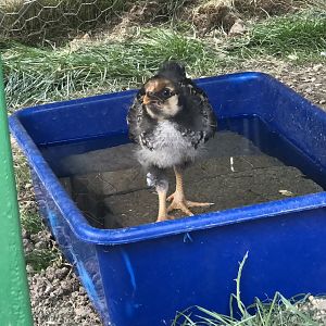 4FDE75C8-2058-4607-8025-C943ADDC4616