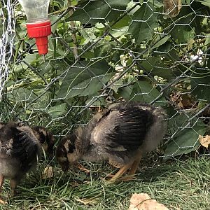 362EED7B-1ADB-455B-913D-05CC5D09DD9A