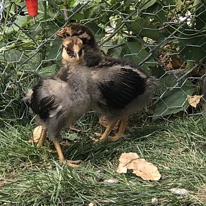 C02CEC83-D656-4943-A1D7-F45BFAFD4B2B