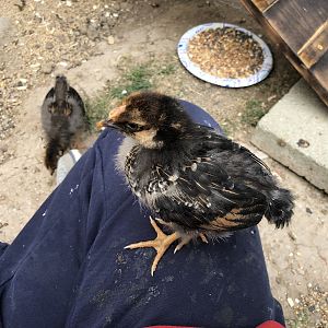 42619371-833B-414A-859D-175C4A6885E5