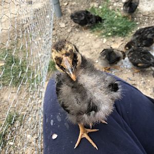 562711DE-FE7E-442D-8583-9F80BC62BE77