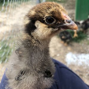 8C2CC15F-FCBB-4829-884A-8E06DEF740D1