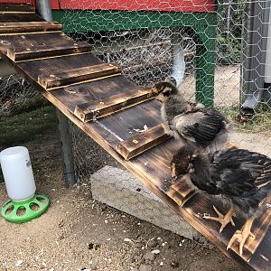 65B65D16-C35C-401B-8385-4B39E5B69682