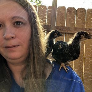 6572AF00-23EA-4798-9091-3B4429088DE6