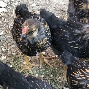 F7E5977C-2C7F-4CD1-BA70-CE321A1CEAA9