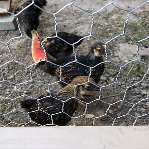 E3DB56F0-718F-452A-9D7D-7BFE1C9F8D8C