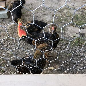 ACB96BB0-5D45-4C60-B997-ABCEC2F73BB6