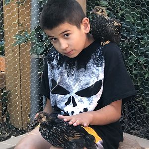 73F432DA-21DD-4D78-B68D-43EC082D39B3