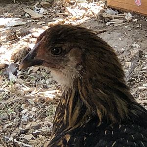 20921CD0-873C-46A6-A3B5-91BB9A1D42E1