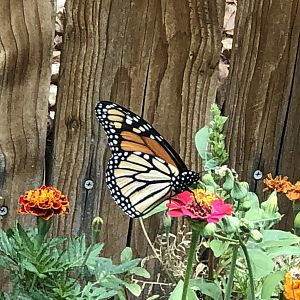 67DB5F69-82E2-4783-B160-CF98653EA943