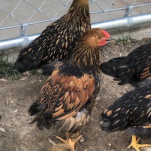 5E12627D-6947-4423-ACA9-86AFC3C2DE50