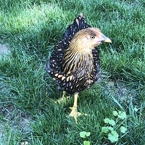 5A0B44FC-AA0E-4287-8A9F-F35562FDE518