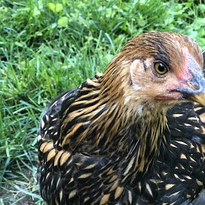 732437BB-8EC8-4E13-B7DF-DEF82846769A