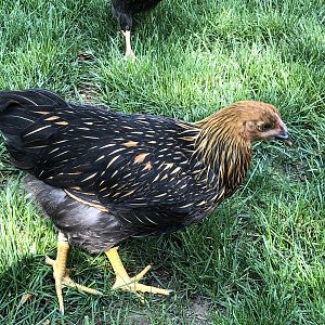 B4AEFD5F-6C9A-4B9D-B992-6145C8A6378E