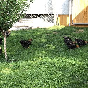 EFC24C44-B71E-4302-8273-3FDBDFB3B938