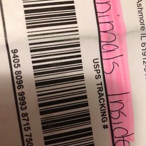 39900591_2330466763636815_2533958257131651072_n[1]