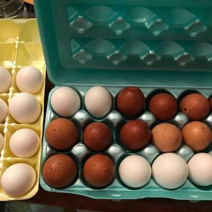 39891467_2330466950303463_5599270923023679488_n[1]