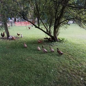 20180825_193356