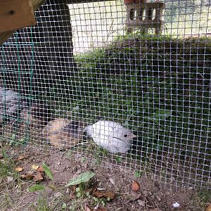 IMG_20180902_131747