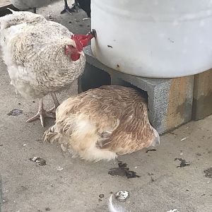 Hey, what are you doing in there??