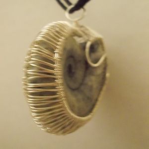 Ammonite edge