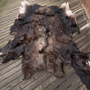 Moose_hide_X9207452_09-20-2018-001