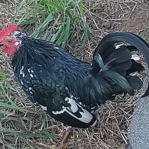 20180920_152102
