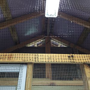 North Wall Upper Vent