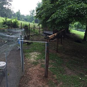 Chicken Run Posts Going Up