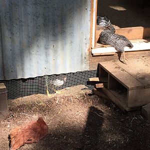 Don’t Mind The Sunbathers