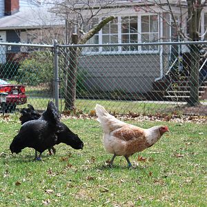 CA7D1EB6-6735-4426-96FA-EAD369E24FED