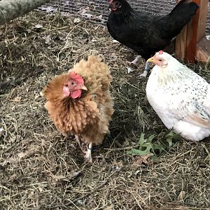 09528F26-8DD7-495B-BAFA-95761521ED97