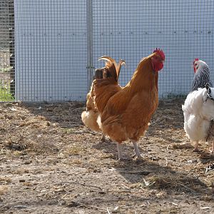 2018-09-25 08-27-17A