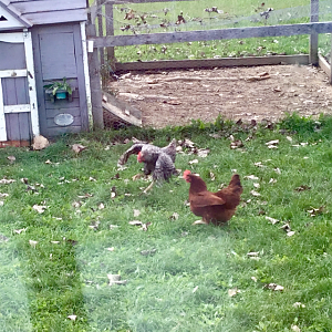 4339FB98-548F-401A-AE4C-ABDB99FD7B1E